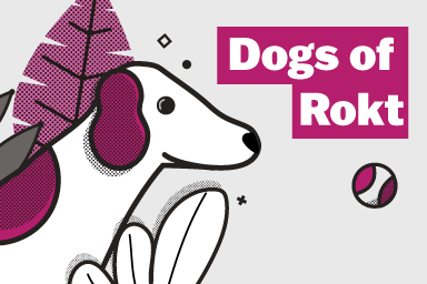 Presenting… the dogs of Rokt