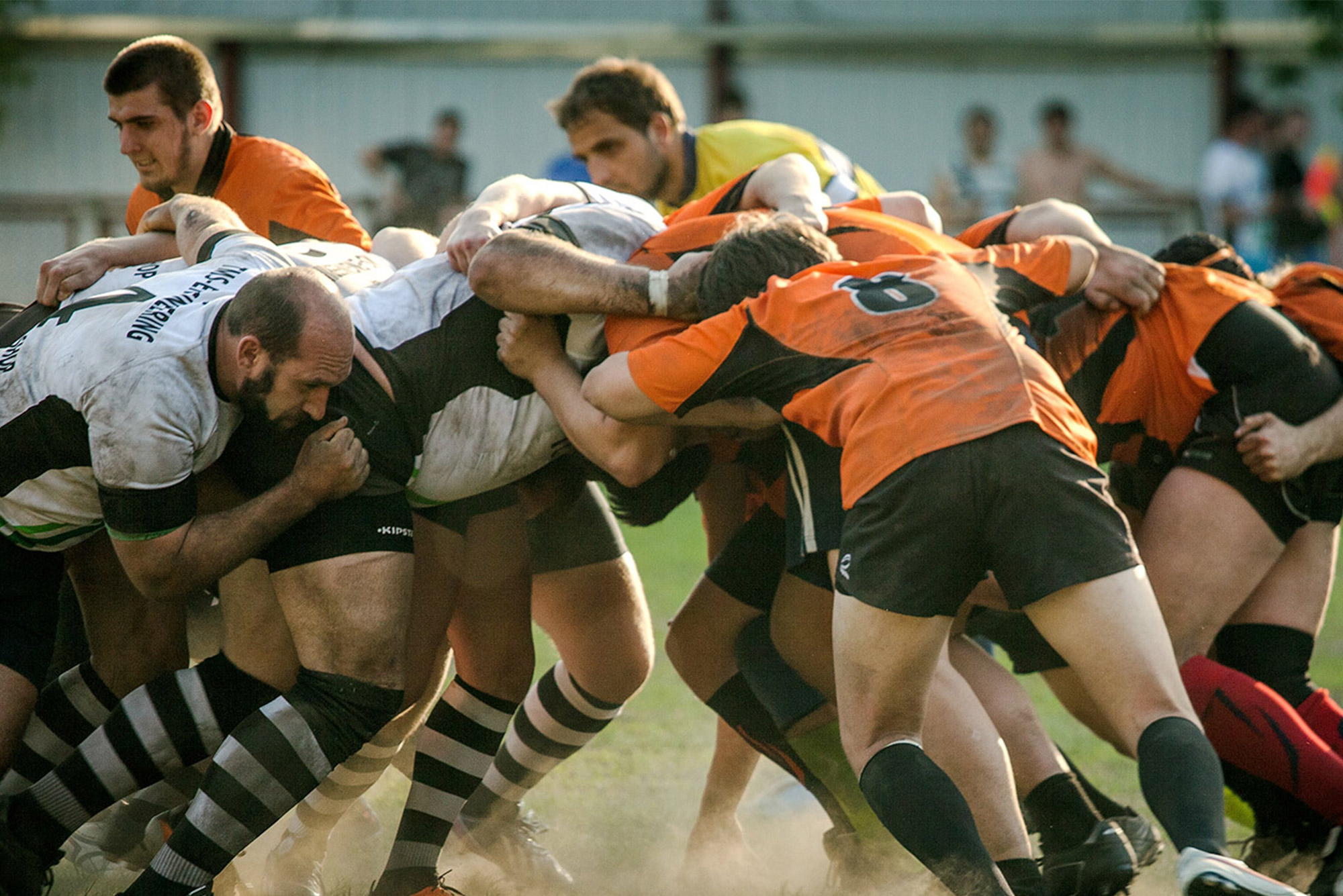 Rokt Calendar delivers 480K subscribers during Rugby World Cup