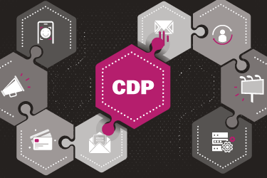 Completing the consumer experience puzzle: <br> how CDPs can enhance data management systems